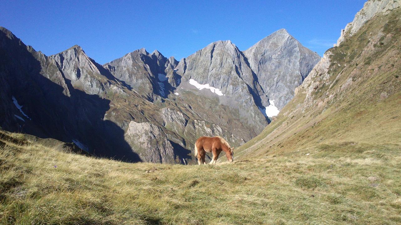 Auberge Les Myrtilles Couflens Экстерьер фото
