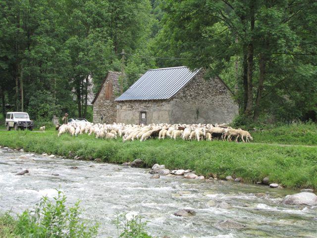 Auberge Les Myrtilles Couflens Экстерьер фото